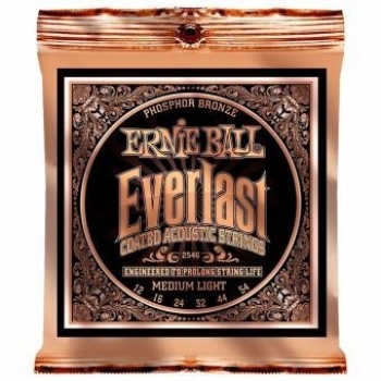 Струны для акустической гитары 12-54 Ernie Ball 2546 Everlast Phosphor Bronze