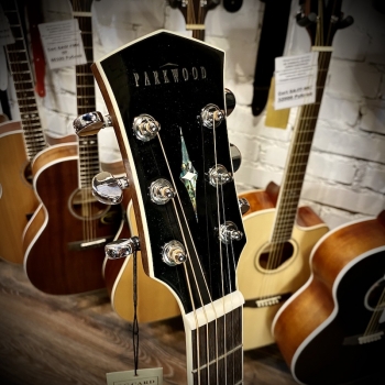 Акустическая гитара с чехлом Parkwood S22-GT