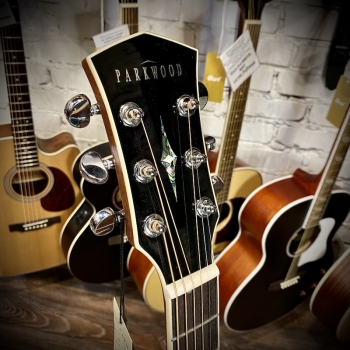 Акустическая гитара с чехлом Parkwood S62