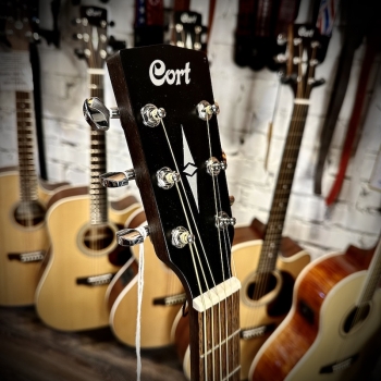 Акустическая гитара Cort Earth60M-OP